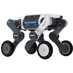 DEEP Robotics Lynx S10