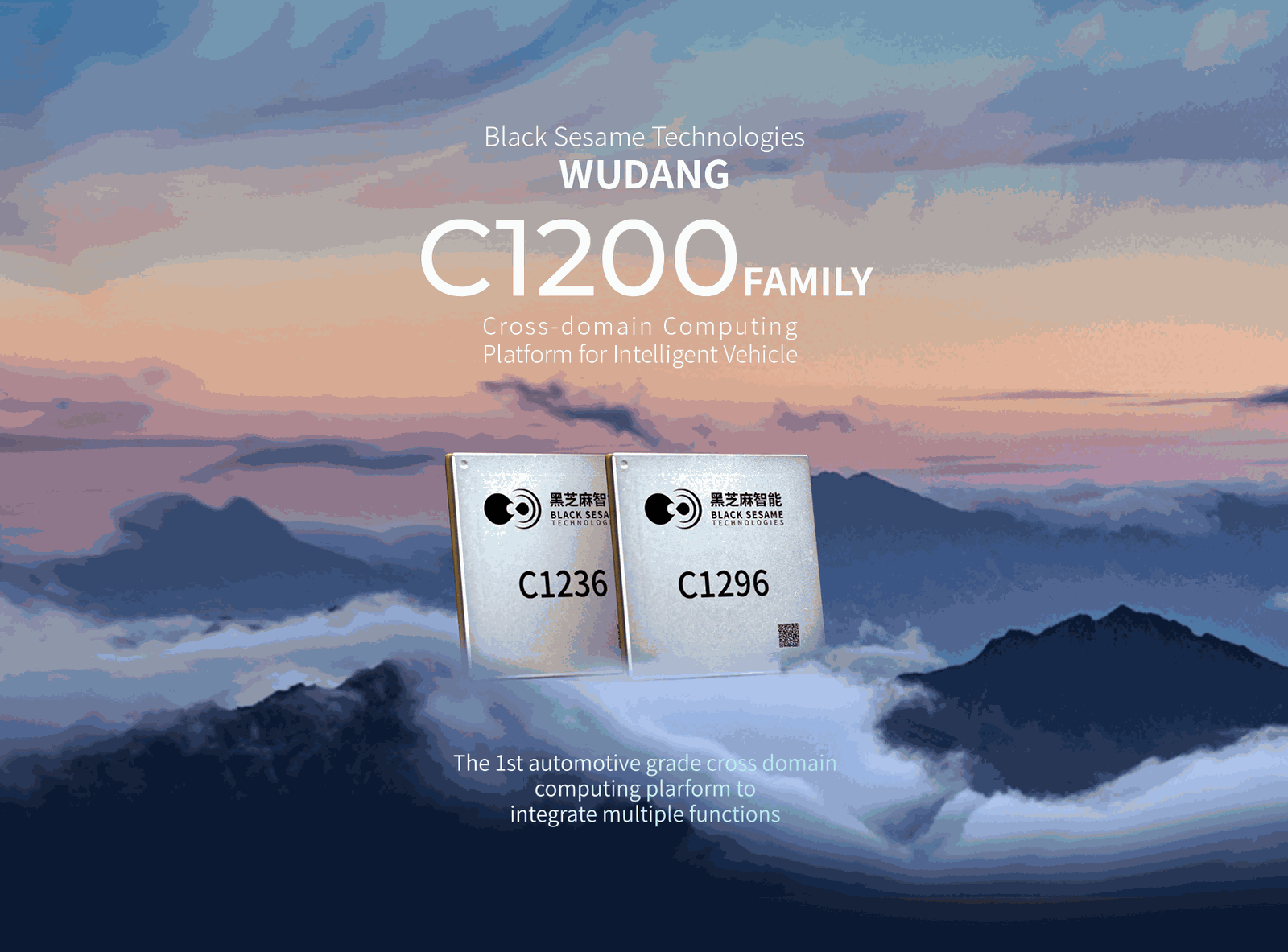Wudang Series Chips