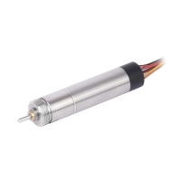 Slotless Brushless DC Motors