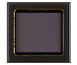 Global shutter image sensors