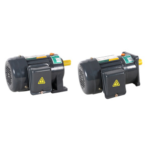 Small AC Gear Motor